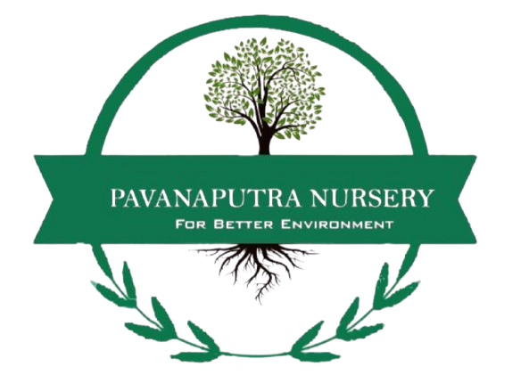 pavanaputranursery.com
