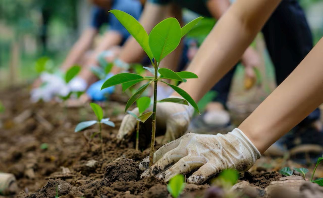 world-environment-day-csr-tree-planting-with-volunteers_875825-119548